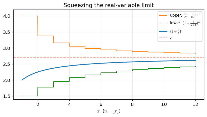 03_real_squeeze.png