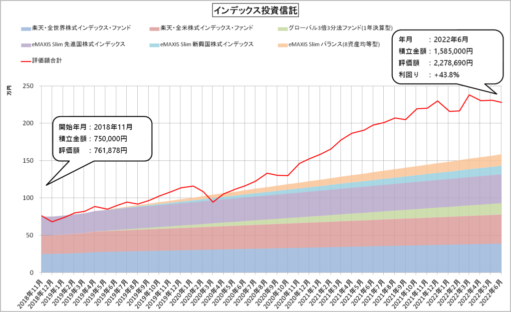 インデックス投資（2022年6月）